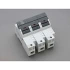 WOEHNER ELECTROTECHN - WOH31934000 AMBUS J-CARRIER 30A, 3P, CON LED