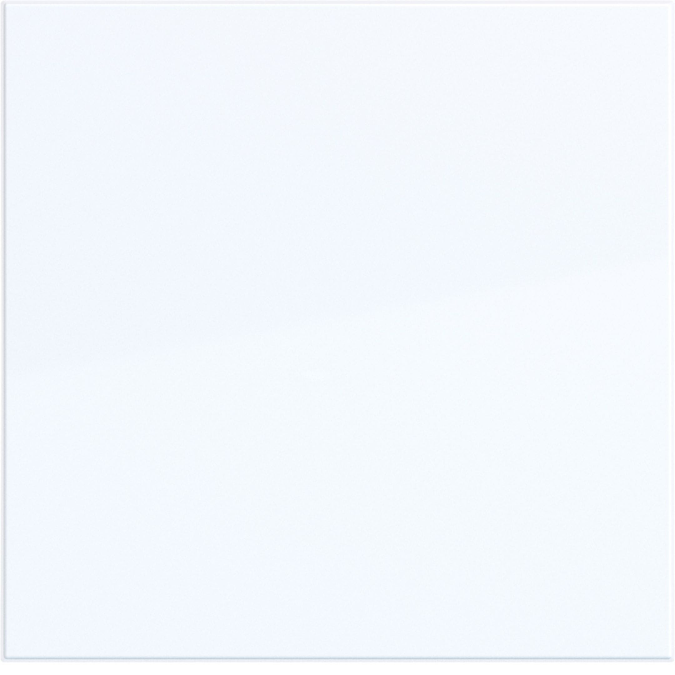 BERKER BRKWAW1000WG BILANCIERE 1-P, A.X/C.X, BIANCO LUC