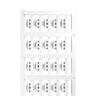 WEIDMULLER - WEI1779080001 SFC 1/21 MC NE WS