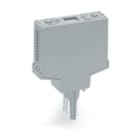 WAGO ITALIA SRL - WAG286-111 Custodia vuota a innesto Tipo Larghezza