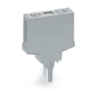 WAGO ITALIA SRL - WAG286-111 Custodia vuota a innesto Tipo Larghezza