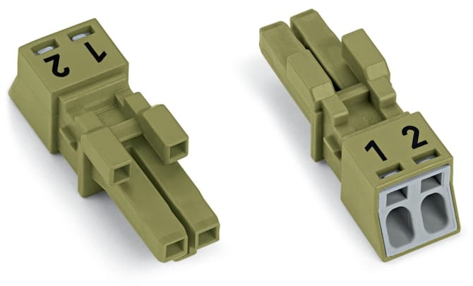 WAGO ITALIA SRL - WAG890-262 Presa 2 poli, verde chiaro