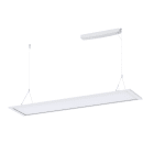 OPPLE LIGHTING BV - OPP542004095200 LEDRIGA-P RE295-34/40W-DALI-830/840