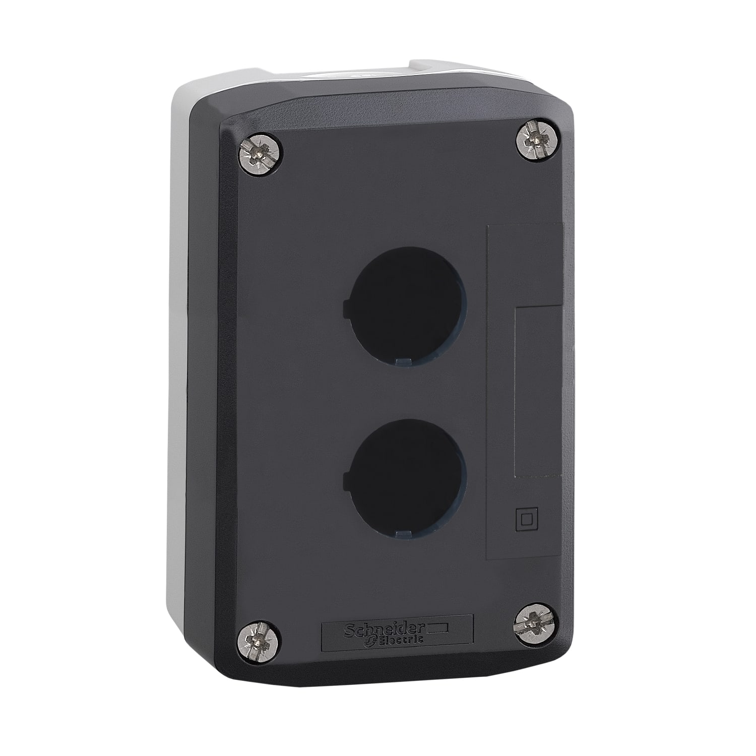 SCHNEIDER ELECTRIC SNRXALD02 PULSANTIERA VUOTA 2 FORI