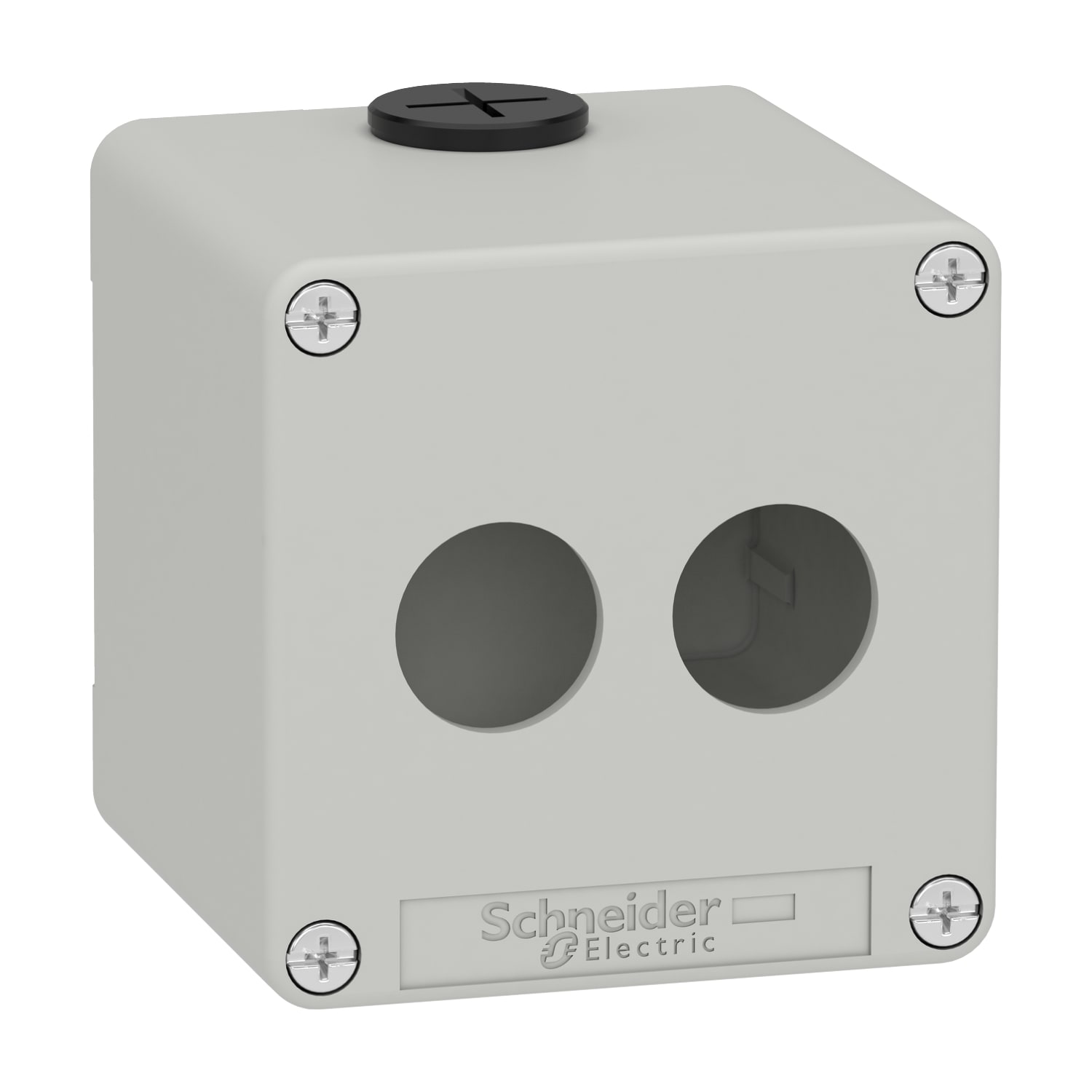 SCHNEIDER ELECTRIC SNRXAPD1502 PULSANTIERA IN METALLO GRIGIA 2 FORI