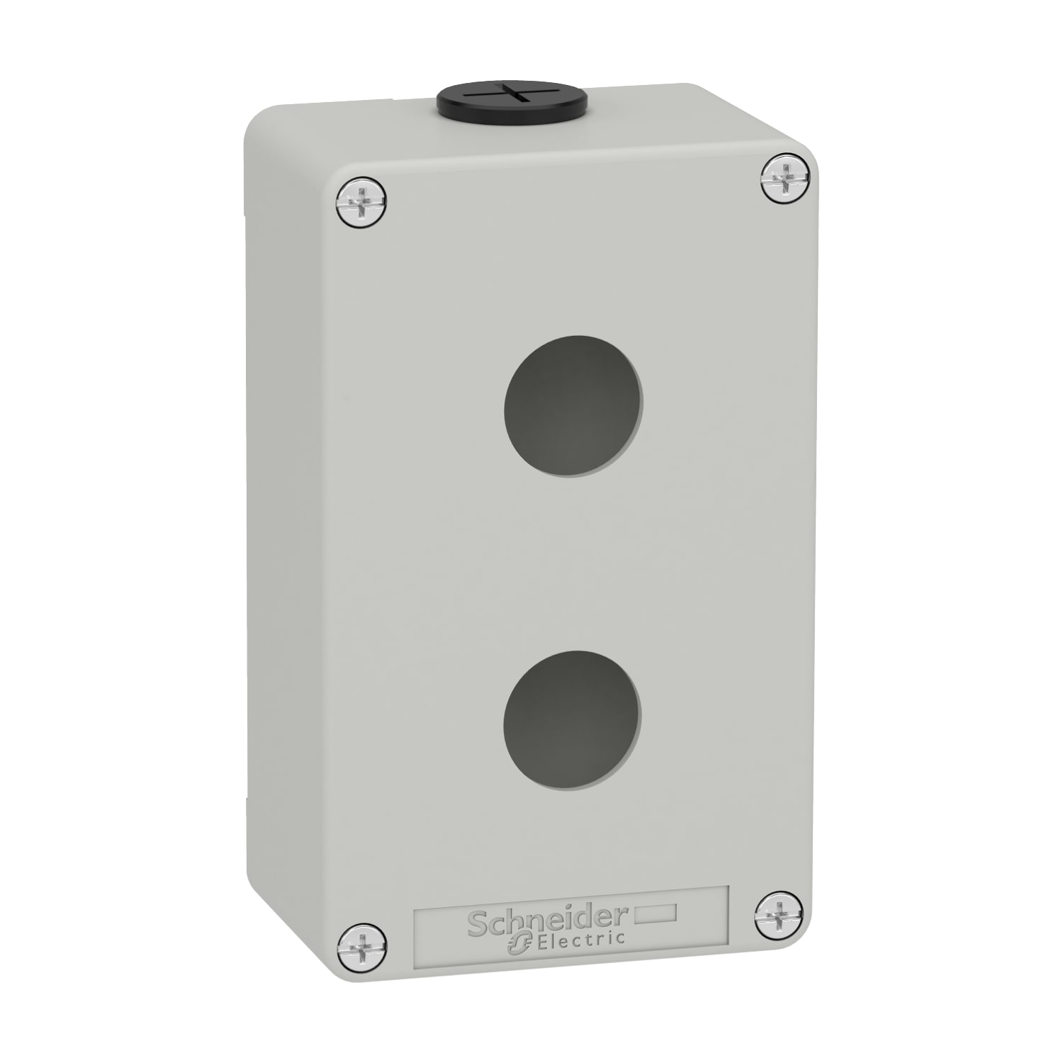 SCHNEIDER ELECTRIC SNRXAPD2202 PULSANTIERA IN METALLO GRIGIA 2 FORI