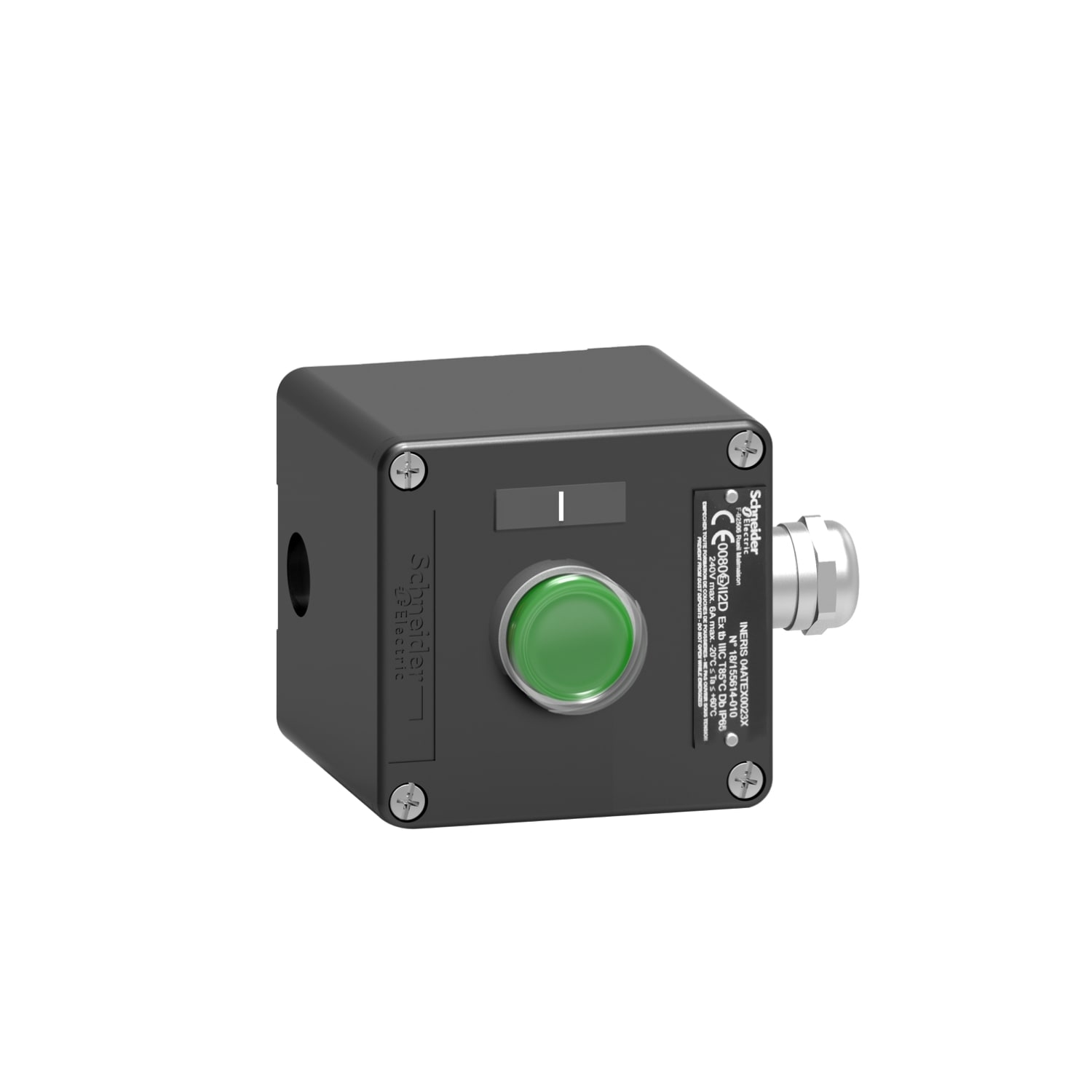 SCHNEIDER ELECTRIC SNRXAWF100EX PULSANTIERA METALLO 1NO VERDE