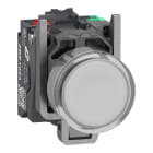 SCHNEIDER ELECTRIC - SNRXB4BW31B55 Pulsante luminoso, Harmony XB4, metallo, bianco filoghiera, 22 mm, LED universale, gemma liscia, 1NO + 1NC, 24 V AC DC, Push in
