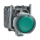 SCHNEIDER ELECTRIC - SNRXB4BW33M5 PULSANTE LUMINOSO VERDE LED 230V