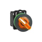 SCHNEIDER ELECTRIC - SNRXB5FK125B5 SELETT. LUM.ARANC. 2POS.FILOPANNELLO 24V