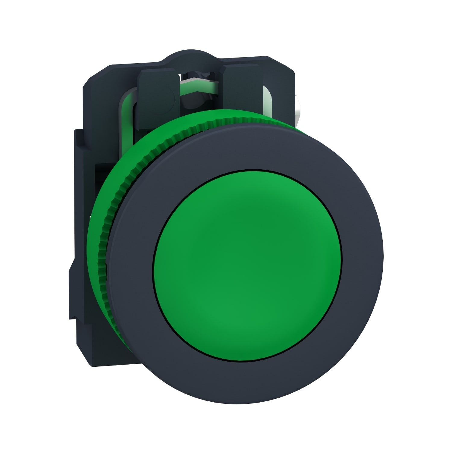 SCHNEIDER ELECTRIC SNRXB5FA31 PULSANTE VERDE FILOPANNELLO 1NO
