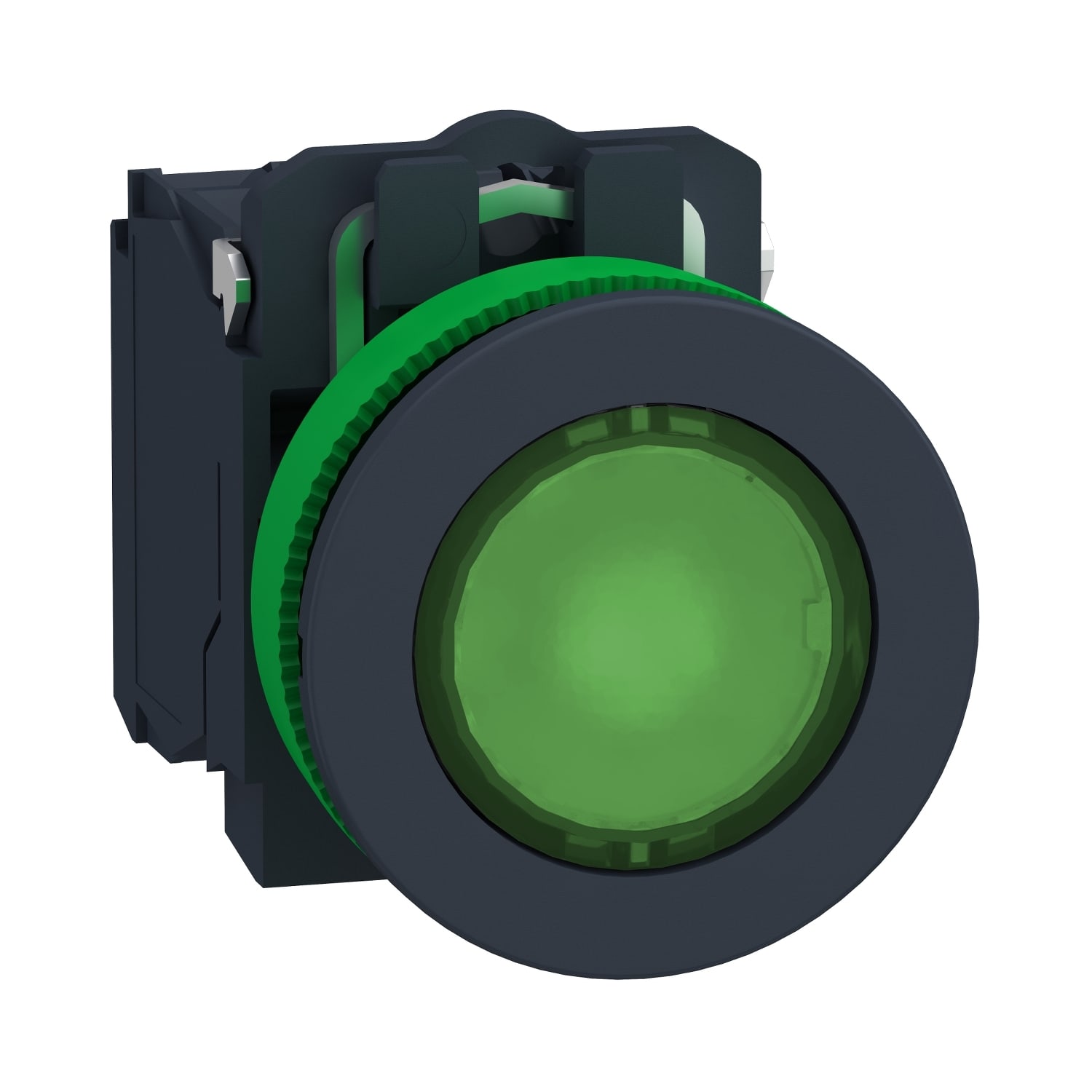 SCHNEIDER ELECTRIC SNRXB5FW33B5 PULS. LUM. VERDE 24V NO+NC FILOPANNELLO
