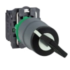 SCHNEIDER ELECTRIC - SNRXB5AG61C0 SELETT. A CHIAVE 2POS. 1NO GHIERA GRIGIA