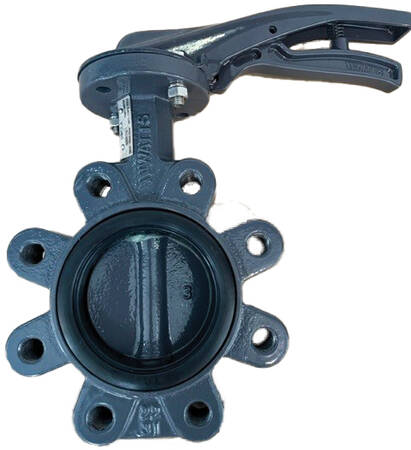 WATTS INDUSTRIES ITA - WAT149G34934P XYLIA 2 - DN65 - LUG LENTE GGG40/LE