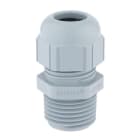 LAPP ITALIA SRL - LPP53110076 SKINTOP ST NPT 3/8 RAL 7001 SGY 10PC