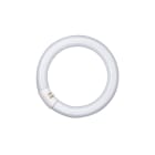 LEDVANCE - LDVL32827CN LUMILUX® T9 C 32 W/827 G10Q