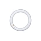 LEDVANCE - LDVL22840CN L 22W/840 C G10Q FLH1 OSRAM