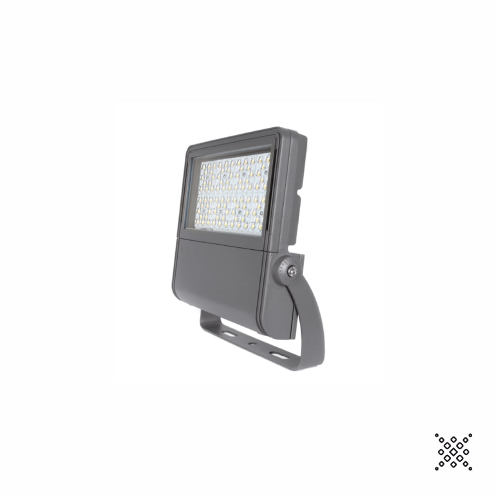PLAYLED ERXBGHP2210060N BIGHP22000 PROIET. 100W 60?230V 4000K IP