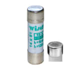 WIMEX - WIM5400708 CF 14 AM 8A FUSIBILI