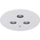 EATON EAO40071353365 3583 LED INCASSO SIMM 1/3/8H SA/SE CGLIN