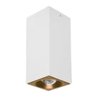 LINEA LIGHT (ILED) - ILD64740W60 BATON-Q2 LED7W BC Q80X200 BG3+ORO