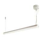 LINEA LIGHT (ILED) - ILD97813N12 HIGH SUSPENS.2 L1182 CRI80 IP40 GO
