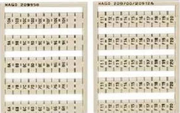 WAGO ITALIA SRL - WAG249-616 SCHEDA DI MARCATURA WSB COME SCHEDA, BIA