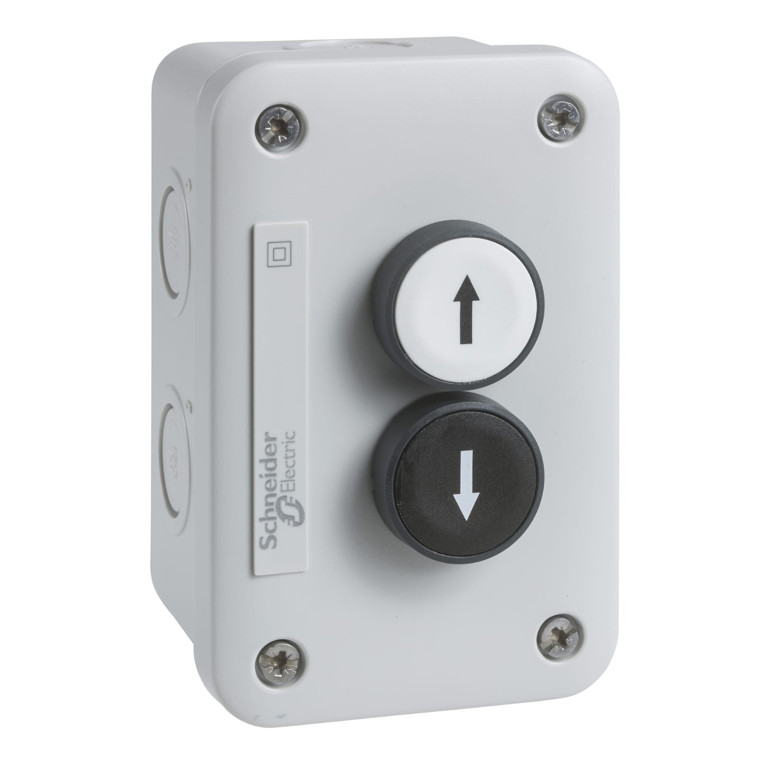 SCHNEIDER ELECTRIC SNRXALE2221 PULSANTIERA 2 PULSANTI BIANCO-NERO FR