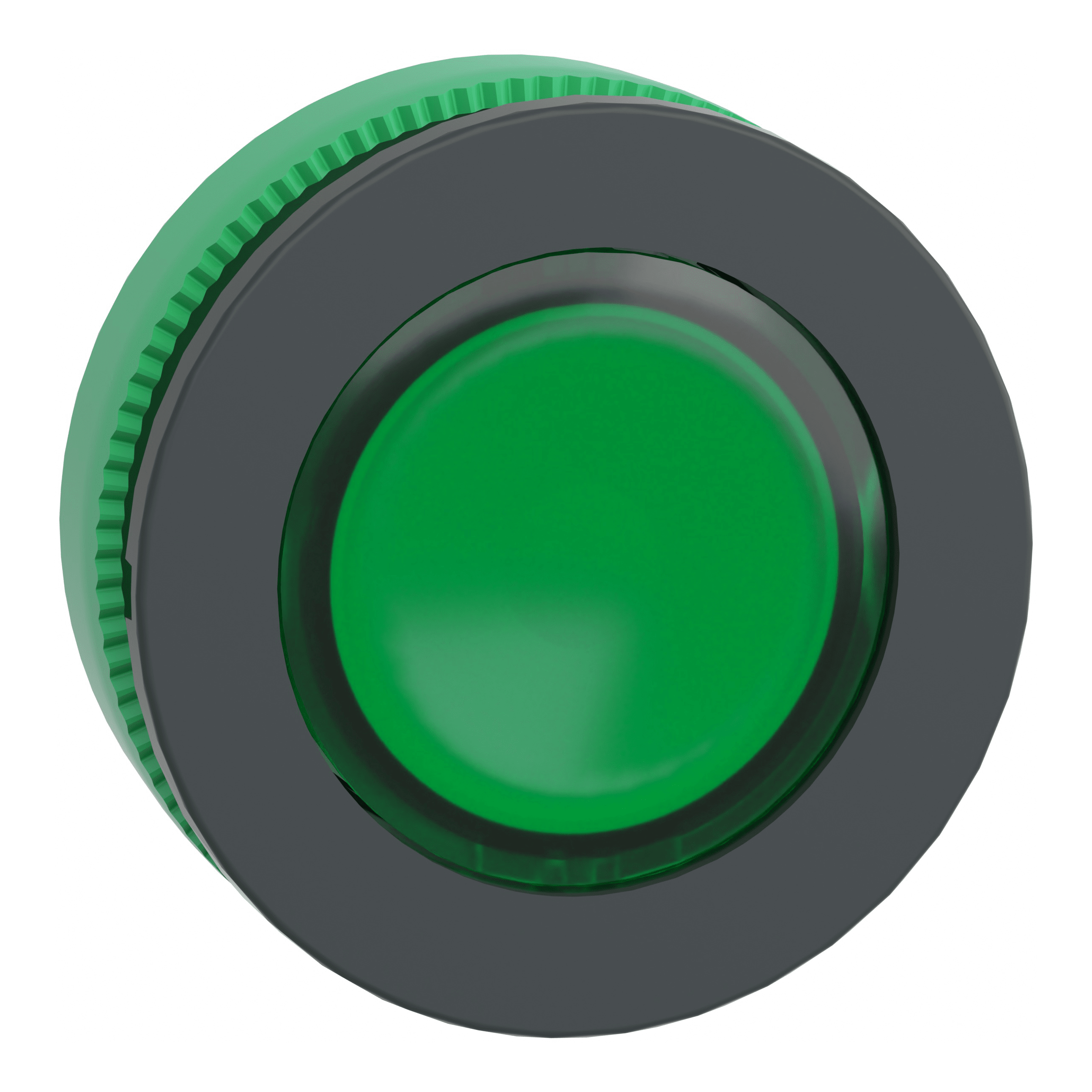 SCHNEIDER ELECTRIC SNRZB5FH033 TESTA PULS. LUM.VERDE AGG. FILOPANNELLO