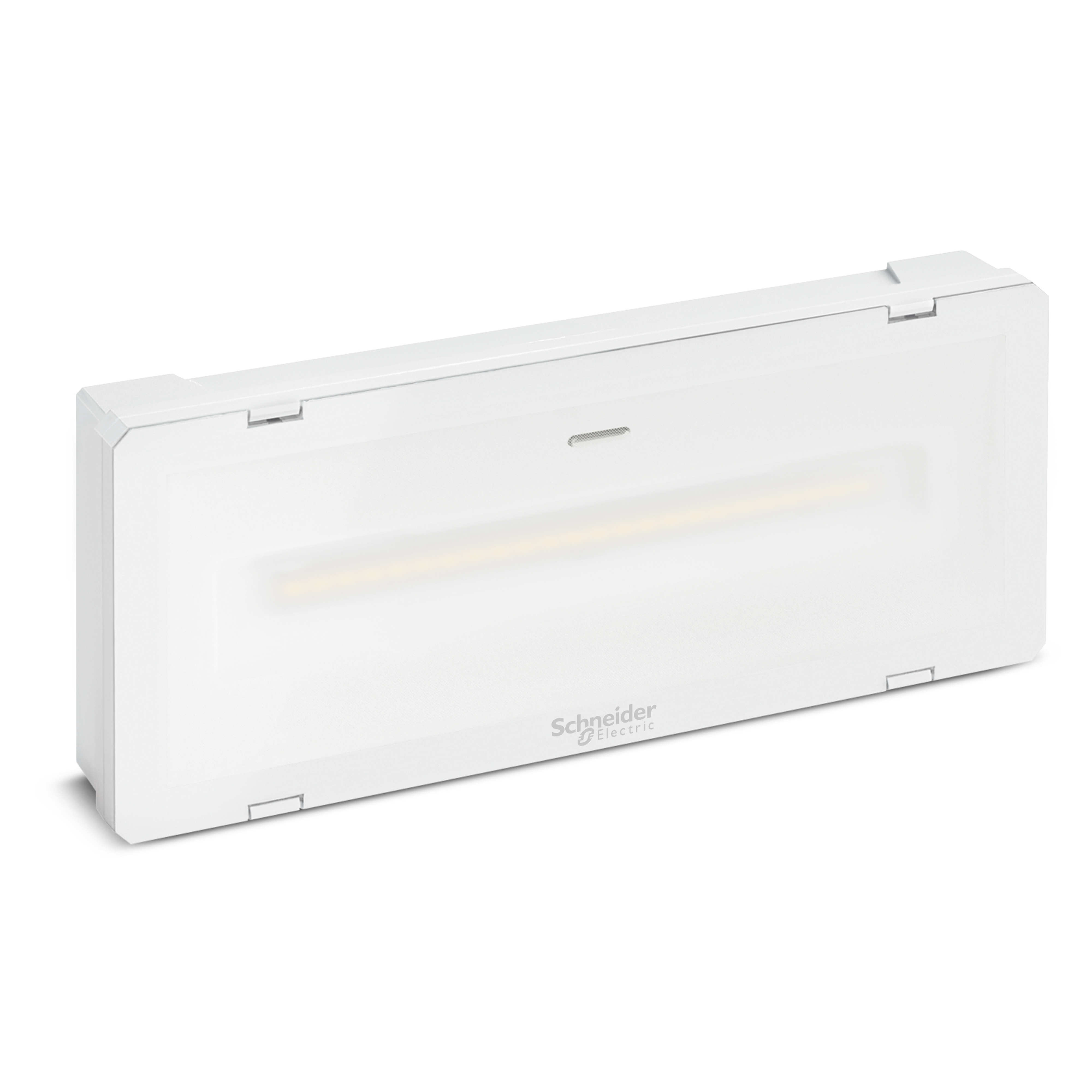 SCHNEIDER ELECTRIC SNROVA48801 EXIWAY SMARTLED IP65 230V DALI 750LM
