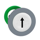 SCHNEIDER ELECTRIC - SNRZB5FA334C0 Testa puls. bianco FRECCIA a filo grigio