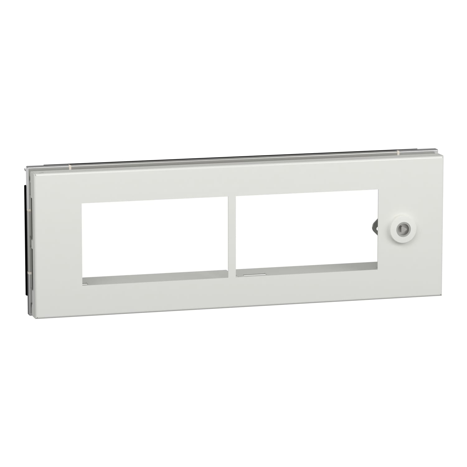 SCHNEIDER ELECTRIC SNRLVS08376 PORTA PARZ.FORATA 4M PRISMASET G IP55