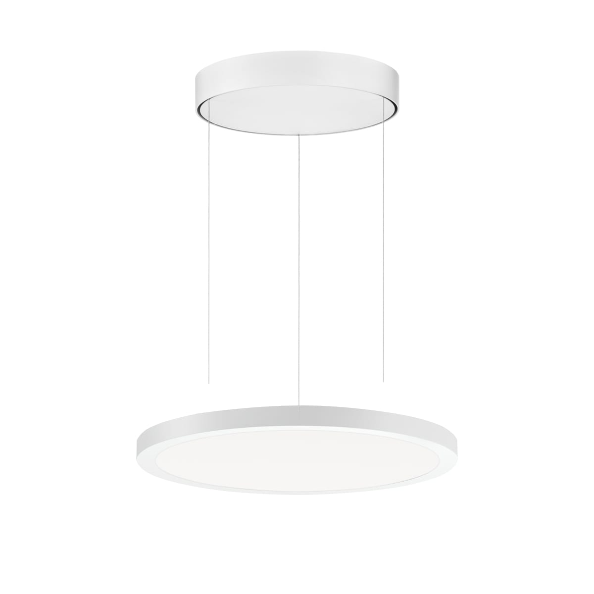 PERFORMANCE IN LIGHT - PRI3124292 FL R+ 333 PL 8/23 S/A 830 WH9016 DALI OP