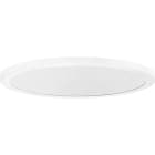 PERFORMANCE IN LIGHT - PRI8333561263410 FL R 333 RE 23 S/A 840 WH9016 MP