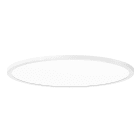 PERFORMANCE IN LIGHT - PRI8555591343310 FL R 555 RE 31 S/A 830 WH9016 OP