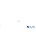 FEMI-CZ SPA - FCZD0C36S06X12E ROS.PIANA D.6(12) Z.ELETTR. 100PZ E