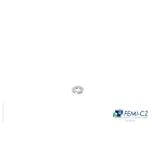 FEMI-CZ SPA - FCZD0C36S10X21Z ROS.PIANA D.10(21) Z.CALDO 100PZ Z