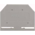 WAGO ITALIA SRL - WAG280-301 PIASTRA TERMINALE E INTERMEDIA SPESSORE