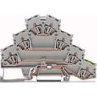 WAGO ITALIA SRL - WAG281-530 MORS. PER MONTAGGIO SU GUIDA A QUATTRO P