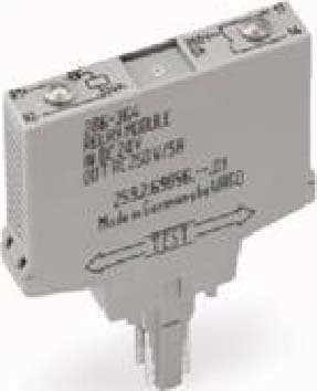 WAGO ITALIA SRL WAG286-364 REL DC 24V, GRIGIO