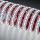 NOBILE ITALIA - NOB48102/C/20 STRIP 20M 11W/M 224LED/M 3K IP67 48V