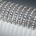 NOBILE ITALIA NOB70042/90/2700K STRIP 5M 7W/M 140LED/M 2,7K CRI90 IP20 2