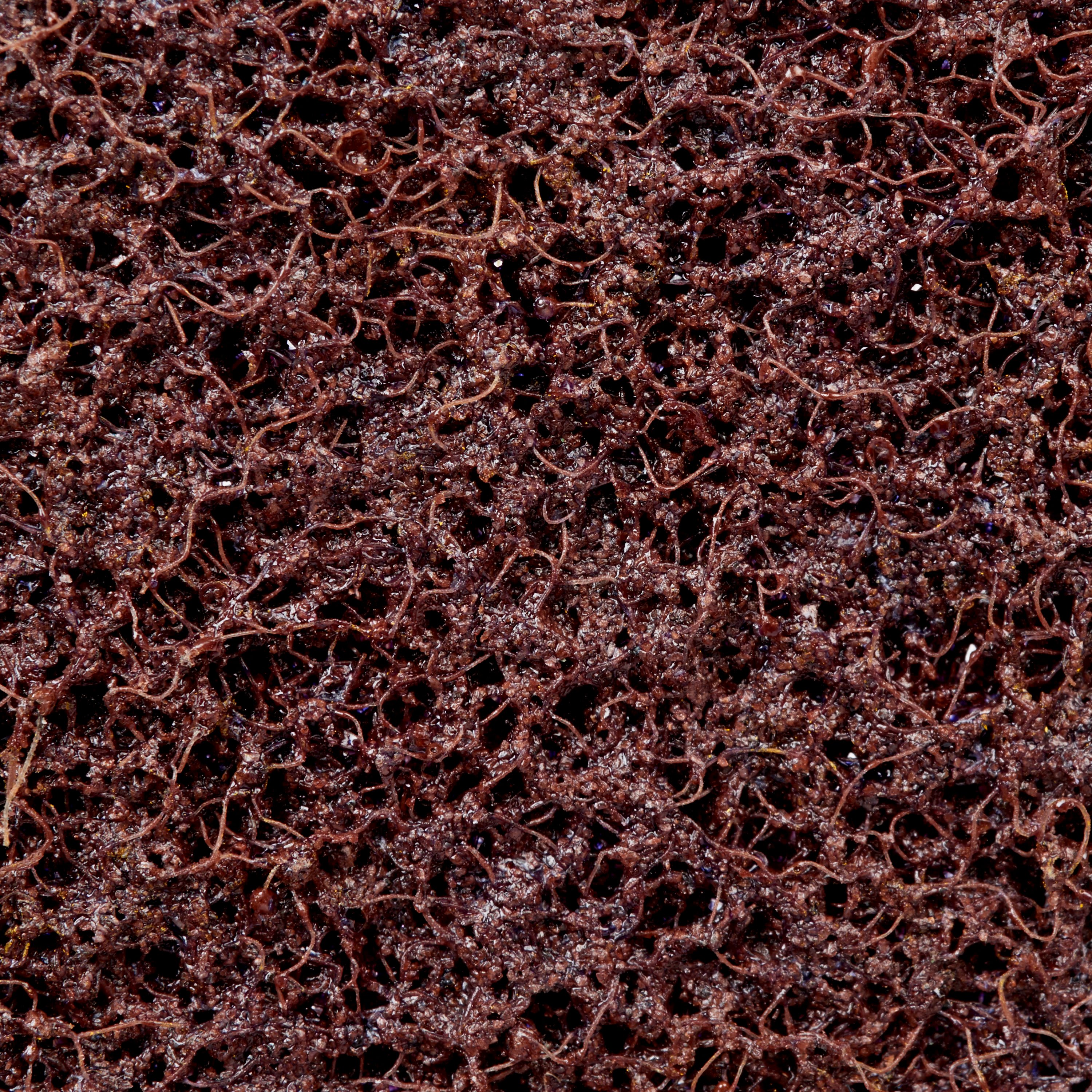 3M ITALIA - 3MF7100234044 DISCO PER IL CONDIZIONAMENTO DELLE SUPER