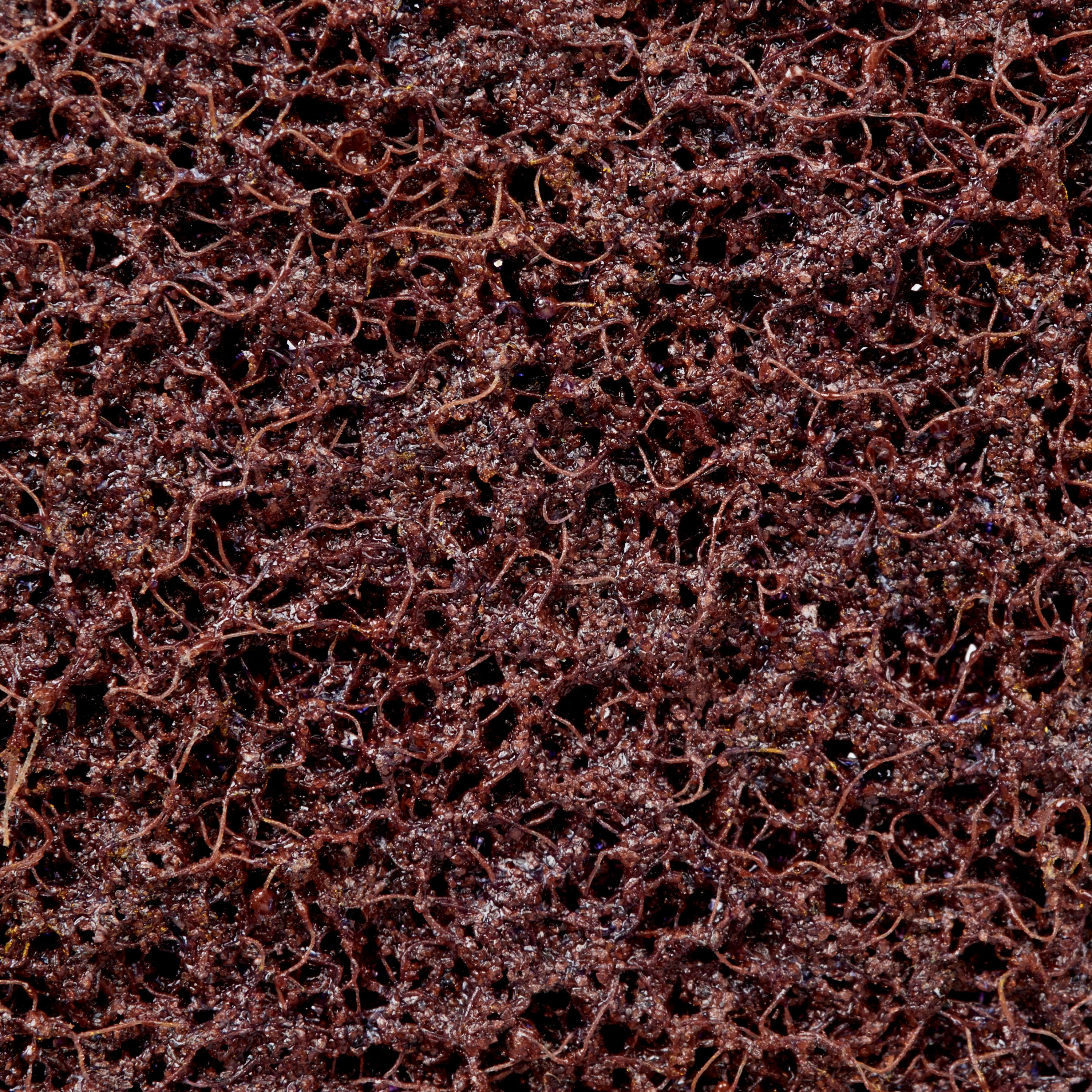 3M ITALIA - 3MF7100234022 DISCO PER IL CONDIZIONAMENTO DELLE SUPER