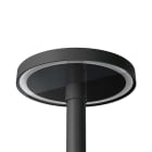 LOMBARDO LOMLL155360ED3 TIME 360 LED 3K 55W ANTRAC.