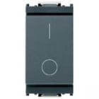 VIMAR SPA - VIW16016 Interruttore 2P 16AX grigio
