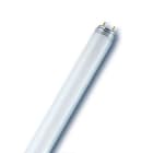 LEDVANCE (RADIUM) - RDML36865RA NL-T8 36W/865 FLH1 RDIUM