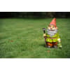 Miniatura Immagine 2 2
