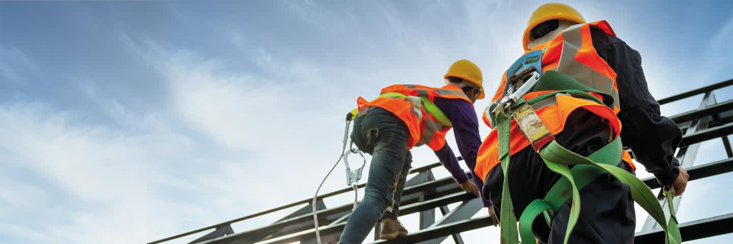 Attrezzature e Materiale di Consumo