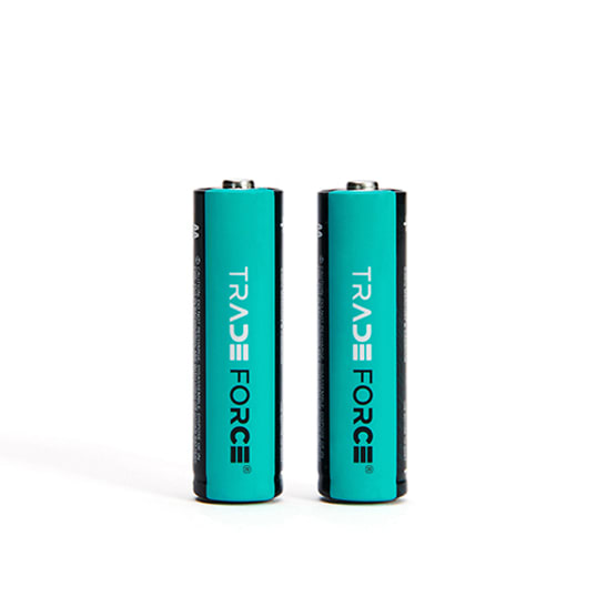 Batterie consumer (1)